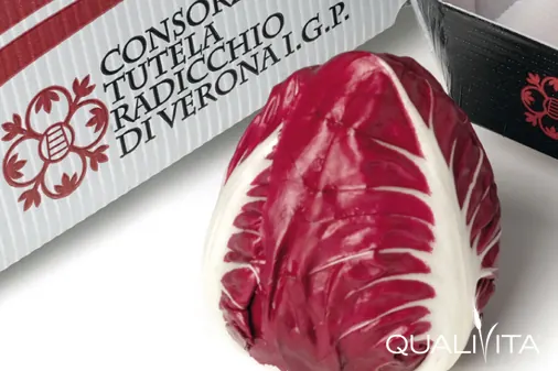 Радиккио